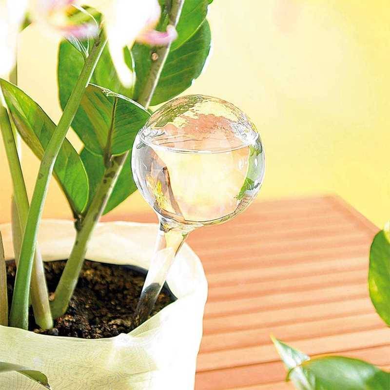 Plant Watering Bulbs Best Sellers Home & Kitchen Color : White|Green 