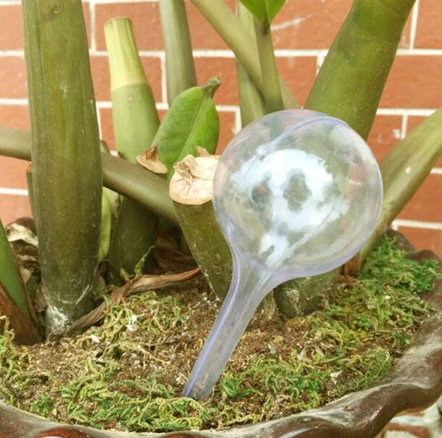 Plant Watering Bulbs Best Sellers Home & Kitchen Color : White|Green 
